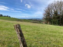  <a style='color: #fff;' href='/uploaded/photo/jeudi-st-jean-la-bussiy-res-6605cd77efd73.jpg'>(Télécharger)</a>