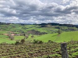  <a style='color: #fff;' href='/uploaded/photo/jeudi-st-jean-la-bussiy-res-6605cd77f0cd5.jpg'>(Télécharger)</a>