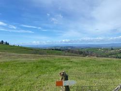  <a style='color: #fff;' href='/uploaded/photo/jeudi-st-jean-la-bussiy-res-6605cd7931530.jpg'>(Télécharger)</a>