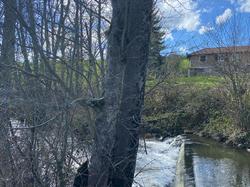  <a style='color: #fff;' href='/uploaded/photo/jeudi-st-jean-la-bussiy-res-6605cd79c7930.jpg'>(Télécharger)</a>