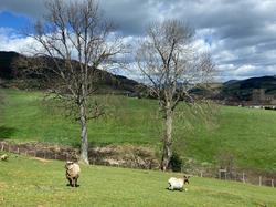  <a style='color: #fff;' href='/uploaded/photo/jeudi-st-jean-la-bussiy-res-6605cd79c7bc3.jpg'>(Télécharger)</a>