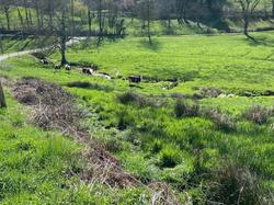  <a style='color: #fff;' href='/uploaded/photo/jeudi-st-jean-la-bussiy-res-6605cd79cc6b0.jpg'>(Télécharger)</a>