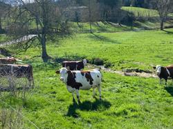  <a style='color: #fff;' href='/uploaded/photo/jeudi-st-jean-la-bussiy-res-6605cd79cdfaa.jpg'>(Télécharger)</a>