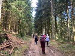  <a style='color: #fff;' href='/uploaded/photo/journy-e-lac-de-cublize-65f336627e73b.jpg'>(Télécharger)</a>