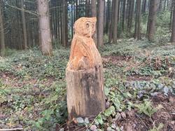  <a style='color: #fff;' href='/uploaded/photo/journy-e-lac-de-cublize-65f33663db041.jpg'>(Télécharger)</a>