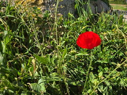  <a style='color: #fff;' href='/uploaded/photo/lachassagne-69d67948d0761.jpg'>(Télécharger)</a>