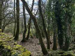  <a style='color: #fff;' href='/uploaded/photo/les-cabornes-de-saint-fortunat-67e15c3450c89.jpg'>(Télécharger)</a>