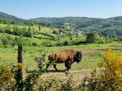  <a style='color: #fff;' href='/uploaded/photo/les-monts-de-la-madeleine-62945d8bd534f.jpg'>(Télécharger)</a>