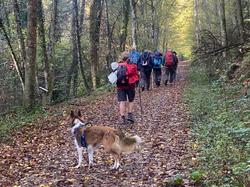  <a style='color: #fff;' href='/uploaded/photo/les-ponts-taret-636d2ef411161.jpg'>(Télécharger)</a>