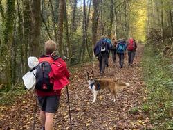  <a style='color: #fff;' href='/uploaded/photo/les-ponts-taret-636d2ef7a4c4e.jpg'>(Télécharger)</a>