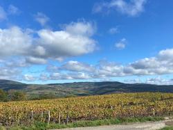  <a style='color: #fff;' href='/uploaded/photo/les-ponts-taret-636d2f1e0e17f.jpg'>(Télécharger)</a>