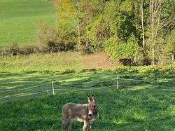  <a style='color: #fff;' href='/uploaded/photo/les-ponts-taret-636d2f4688cac.jpg'>(Télécharger)</a>