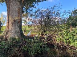  <a style='color: #fff;' href='/uploaded/photo/les-ponts-taret-636d2f6508bc5.jpg'>(Télécharger)</a>