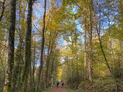  <a style='color: #fff;' href='/uploaded/photo/les-ponts-taret-636d2f6aa0444.jpg'>(Télécharger)</a>