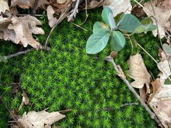  <a style='color: #fff;' href='/uploaded/photo/lundi-matin-tonique-chasselay-67d8413763a01.jpg'>(Télécharger)</a>