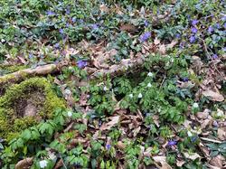  <a style='color: #fff;' href='/uploaded/photo/lundi-matin-tonique-chasselay-67d84137cb1d7.jpg'>(Télécharger)</a>