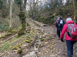  <a style='color: #fff;' href='/uploaded/photo/lundi-matin-tonique-chasselay-67d84137df8ee.jpg'>(Télécharger)</a>