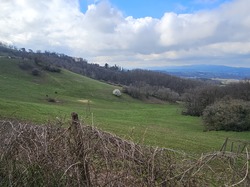  <a style='color: #fff;' href='/uploaded/photo/lundi-matin-tonique-chasselay-67d88effd9819.jpg'>(Télécharger)</a>