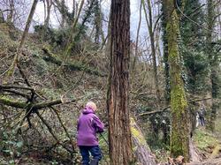  <a style='color: #fff;' href='/uploaded/photo/montanay-6756e73ce5b08.jpg'>(Télécharger)</a>