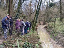  <a style='color: #fff;' href='/uploaded/photo/montanay-6756e73d4a12f.jpg'>(Télécharger)</a>