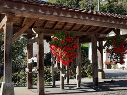  <a style='color: #fff;' href='/uploaded/photo/nom-de-l-album-632dbb3c73a6a.jpg'>(Télécharger)</a>