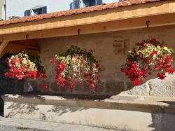  <a style='color: #fff;' href='/uploaded/photo/nom-de-l-album-632dbb87f37e8.jpg'>(Télécharger)</a>