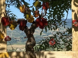  <a style='color: #fff;' href='/uploaded/photo/oingt-64c27c5292492.jpg'>(Télécharger)</a>