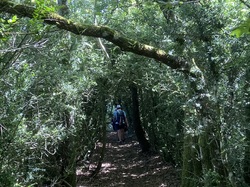  <a style='color: #fff;' href='/uploaded/photo/oingt-64c27c636af73.jpg'>(Télécharger)</a>