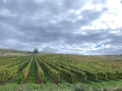  <a style='color: #fff;' href='/uploaded/photo/oingt-6707e60ed1c7b.jpg'>(Télécharger)</a>