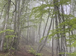  <a style='color: #fff;' href='/uploaded/photo/ordonnaz-6647794547910.jpg'>(Télécharger)</a>