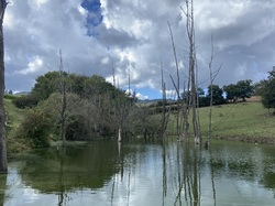  <a style='color: #fff;' href='/uploaded/photo/pollionnay-66e315e372e14.jpg'>(Télécharger)</a>