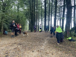  <a style='color: #fff;' href='/uploaded/photo/pollionnay-66e315ea79960.jpg'>(Télécharger)</a>