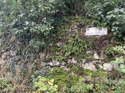  <a style='color: #fff;' href='/uploaded/photo/pollionnay-66e315eae2e9c.jpg'>(Télécharger)</a>