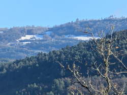  <a style='color: #fff;' href='/uploaded/photo/poncin-69288ef0d93ae.jpg'>(Télécharger)</a>