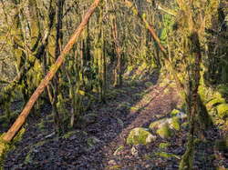  <a style='color: #fff;' href='/uploaded/photo/poncin-69288ef11de40.jpg'>(Télécharger)</a>