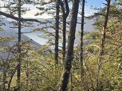  <a style='color: #fff;' href='/uploaded/photo/poncin-69288ef871af3.jpg'>(Télécharger)</a>