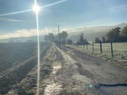  <a style='color: #fff;' href='/uploaded/photo/rando-et-resto-du-29-nov-656769f9a97c9.jpg'>(Télécharger)</a>