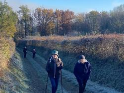  <a style='color: #fff;' href='/uploaded/photo/rando-et-resto-du-29-nov-656769f9db3f2.jpg'>(Télécharger)</a>