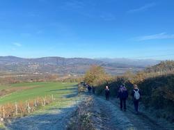  <a style='color: #fff;' href='/uploaded/photo/rando-et-resto-du-29-nov-656769f9dc996.jpg'>(Télécharger)</a>