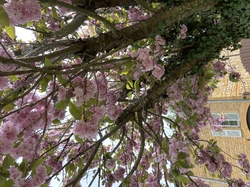  <a style='color: #fff;' href='/uploaded/photo/rando-theize-6449567bcb4e0.jpg'>(Télécharger)</a>