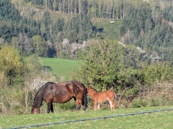  <a style='color: #fff;' href='/uploaded/photo/rando-y-cenves-19-kms-et-700m-sous-un-chaud-soleil-69d7d4ae65218.jpg'>(Télécharger)</a>