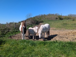  <a style='color: #fff;' href='/uploaded/photo/rando-y-cenves-19-kms-et-700m-sous-un-chaud-soleil-69d7d4b717c48.jpg'>(Télécharger)</a>