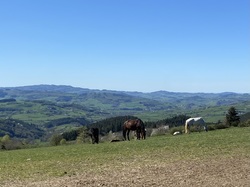  <a style='color: #fff;' href='/uploaded/photo/rando-y-cenves-19-kms-et-700m-sous-un-chaud-soleil-69d7de44cde97.jpg'>(Télécharger)</a>