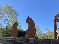  <a style='color: #fff;' href='/uploaded/photo/rando-y-cenves-19-kms-et-700m-sous-un-chaud-soleil-69d7deb3d0392.jpg'>(Télécharger)</a>