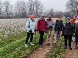  <a style='color: #fff;' href='/uploaded/photo/rando-zen-61e66bd04eef6.jpg'>(Télécharger)</a>