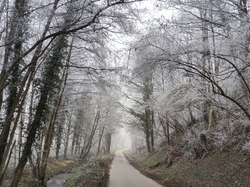  <a style='color: #fff;' href='/uploaded/photo/rando-zen-61e66bd090dfd.jpg'>(Télécharger)</a>