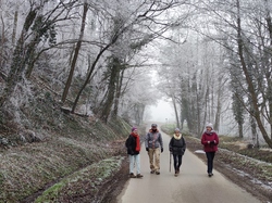  <a style='color: #fff;' href='/uploaded/photo/rando-zen-61e66bd0a551d.jpg'>(Télécharger)</a>