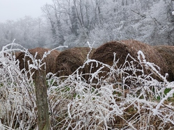  <a style='color: #fff;' href='/uploaded/photo/rando-zen-61e66bd45e4cb.jpg'>(Télécharger)</a>