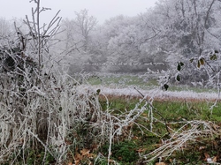  <a style='color: #fff;' href='/uploaded/photo/rando-zen-61e66bd498a82.jpg'>(Télécharger)</a>