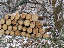  <a style='color: #fff;' href='/uploaded/photo/rando-zen-61e66bd874ef2.jpg'>(Télécharger)</a>